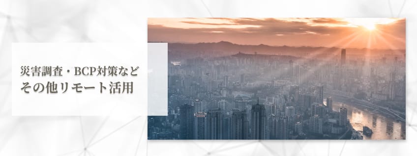 災害調査・BCP対策など　その他リモート活用