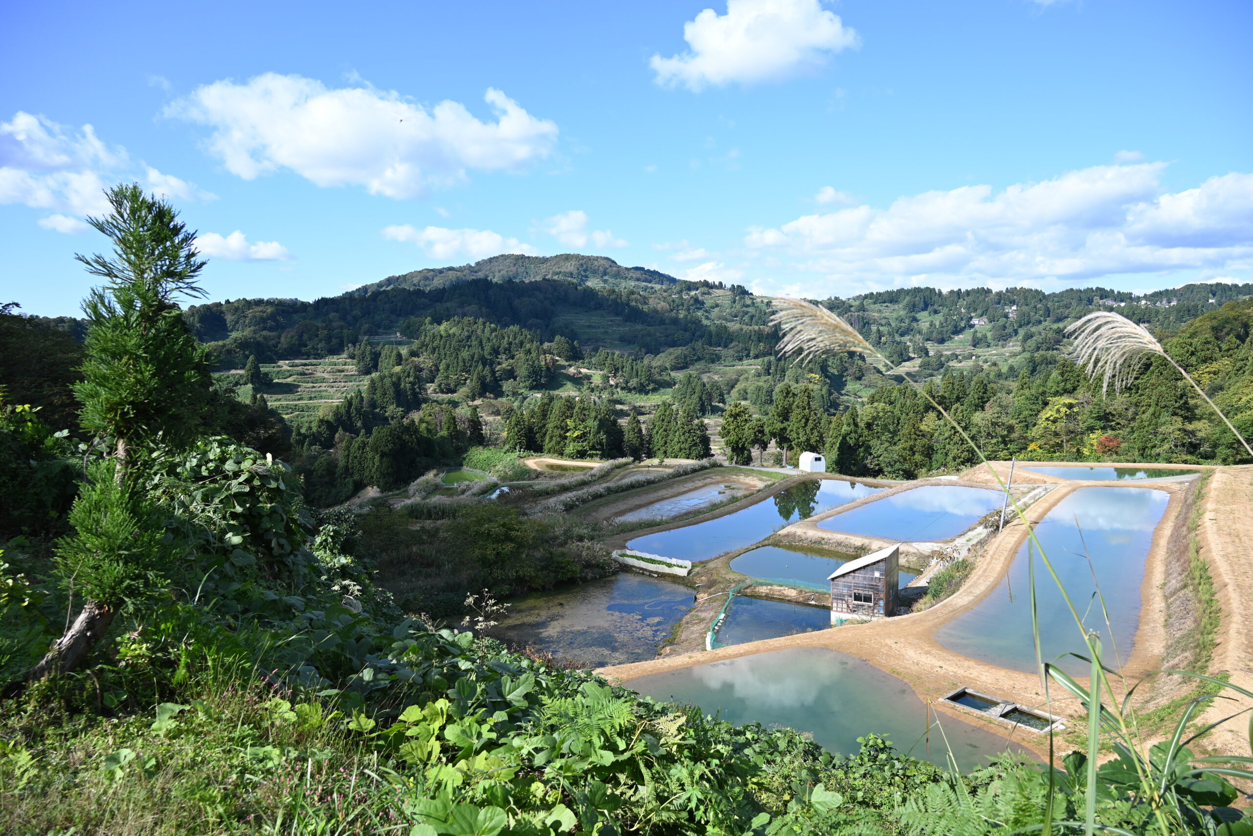 長岡市 山古志地域の風景（長岡市提供）